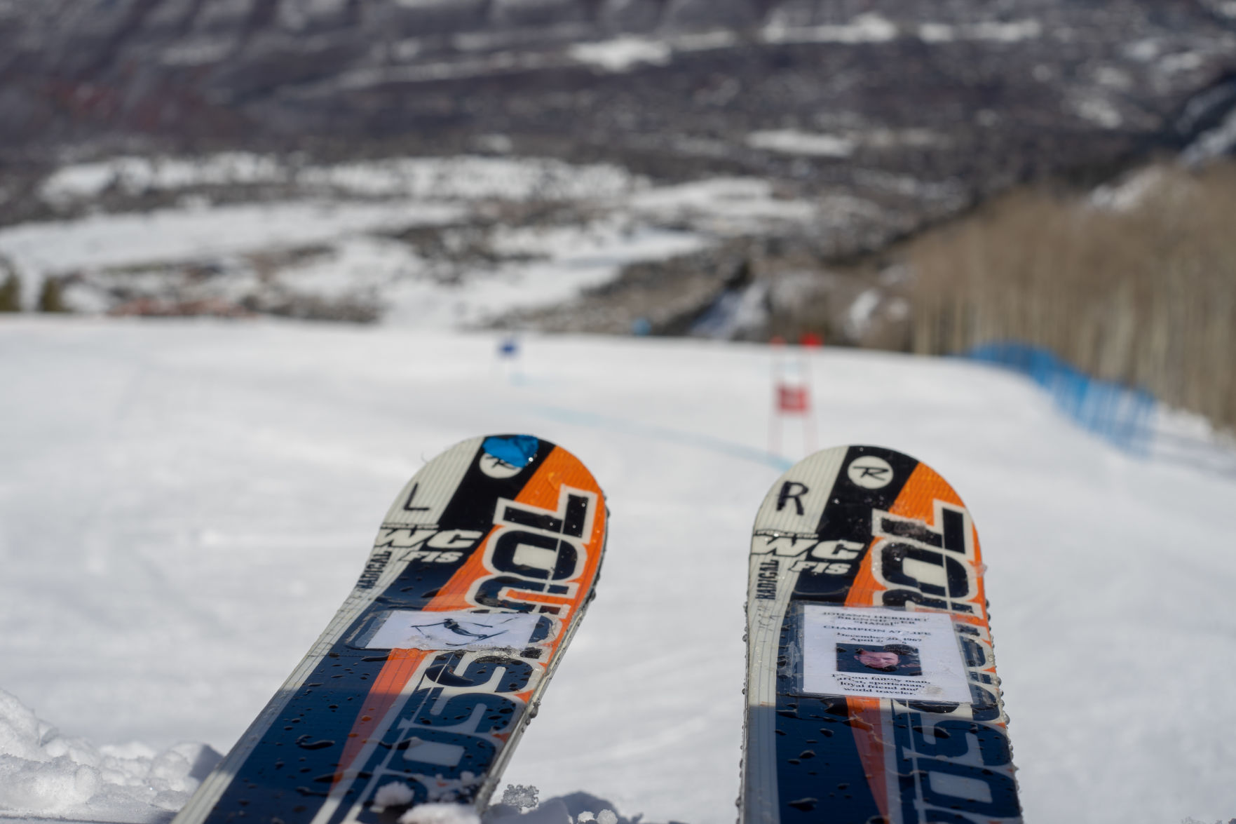 Hansi skis
